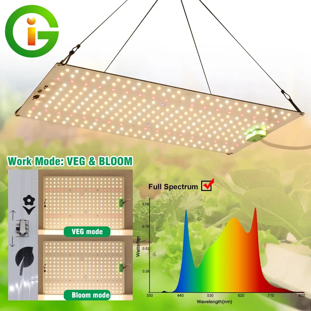 Lampe horticole LED à interrupteur veg et bloom