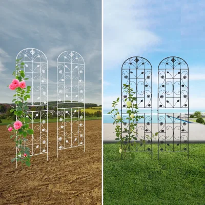 Treillis de jardin arqué en fer, 2 pièces